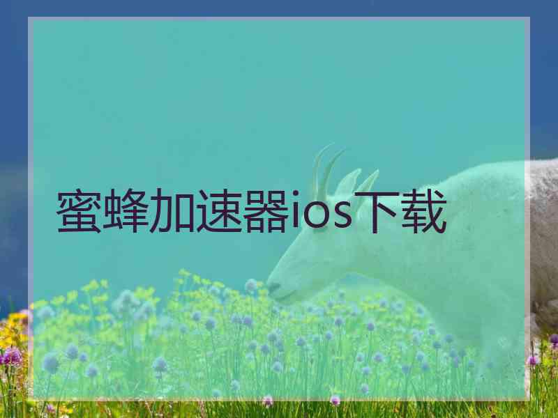 蜜蜂加速器ios下载