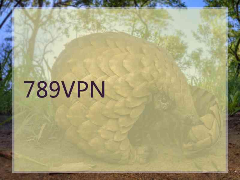 789VPN