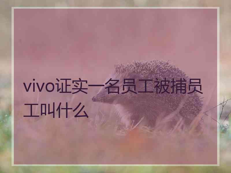 vivo证实一名员工被捕员工叫什么