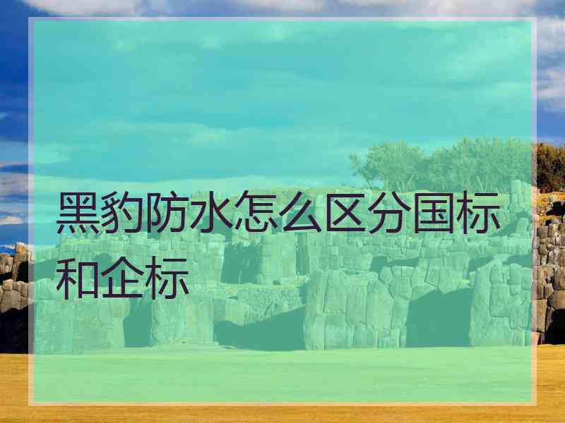 黑豹防水怎么区分国标和企标