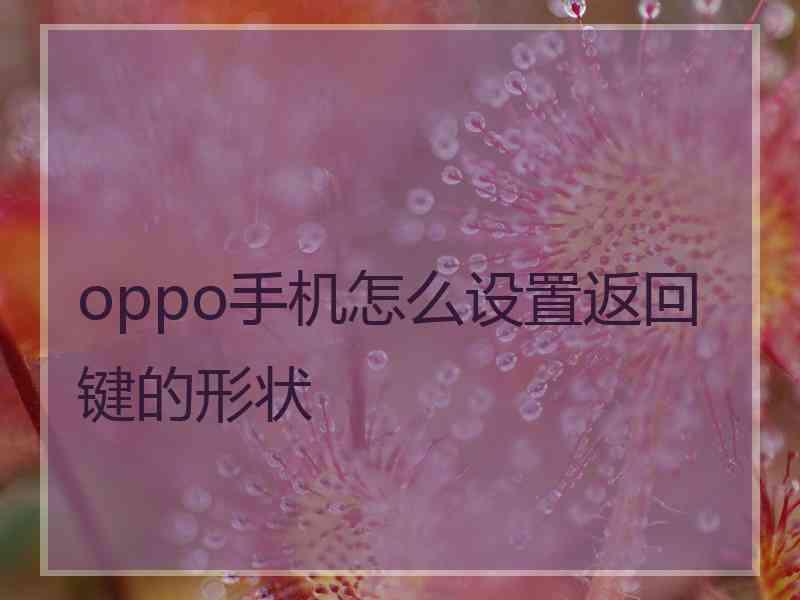 oppo手机怎么设置返回键的形状