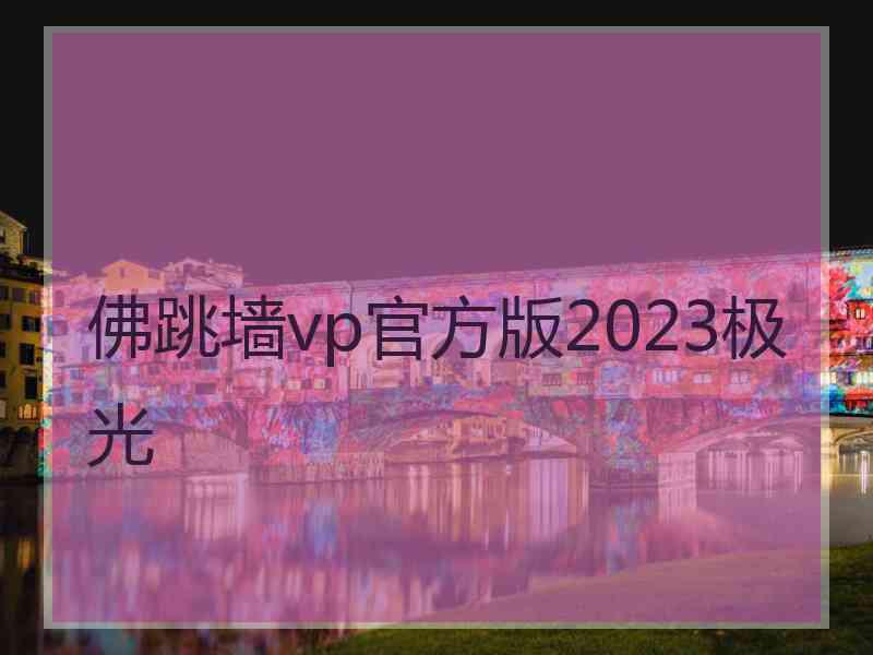 佛跳墙vp官方版2023极光