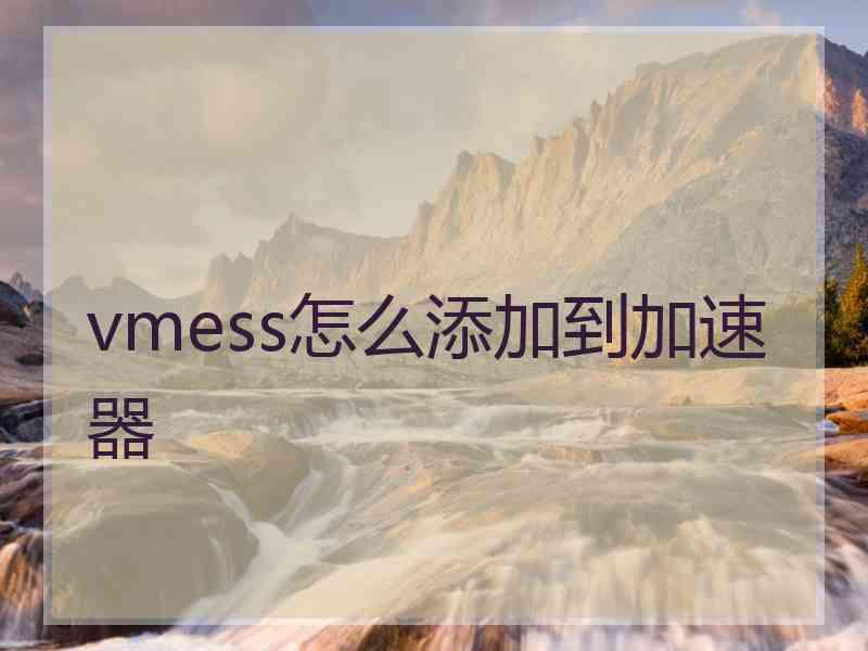 vmess怎么添加到加速器