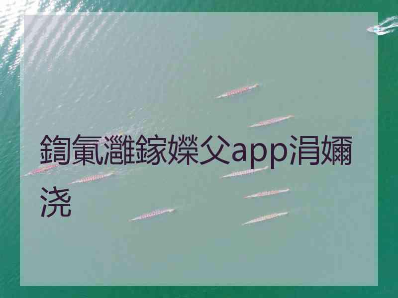 鍧氭灉鎵嬫父app涓嬭浇