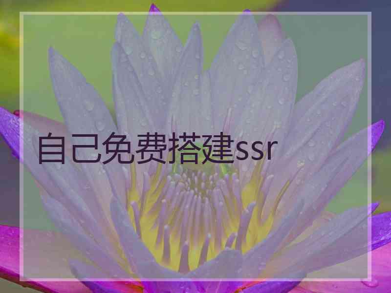 自己免费搭建ssr