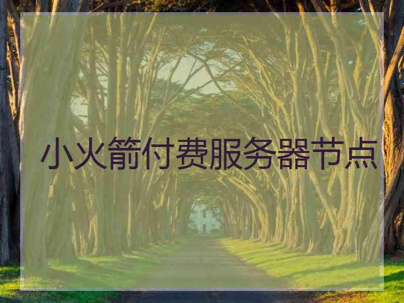 小火箭付费服务器节点