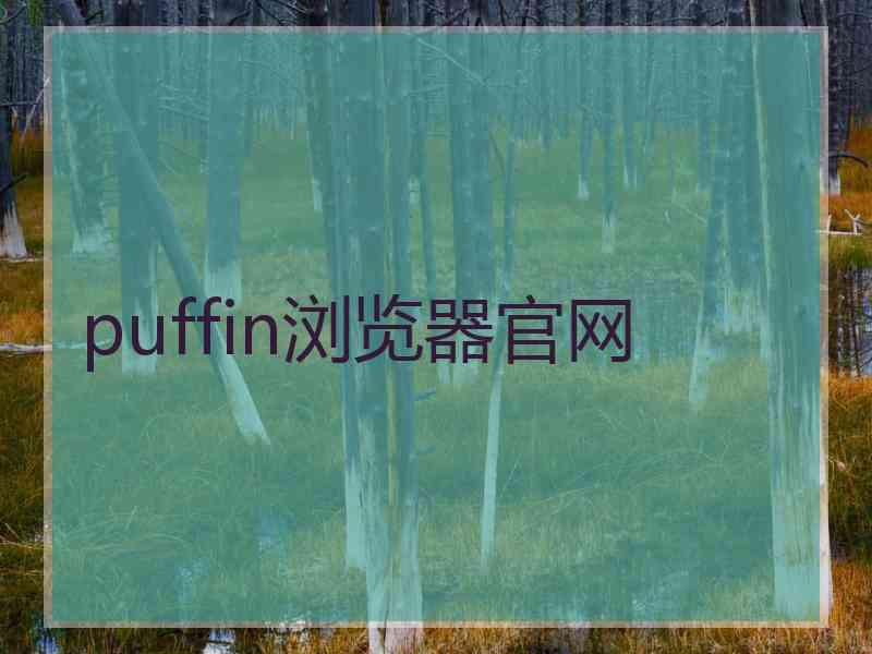 puffin浏览器官网