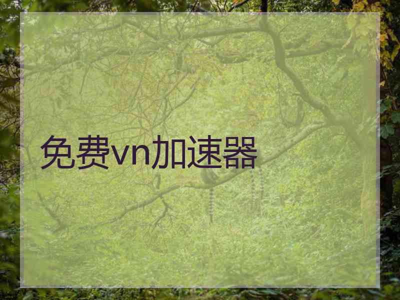 免费vn加速器