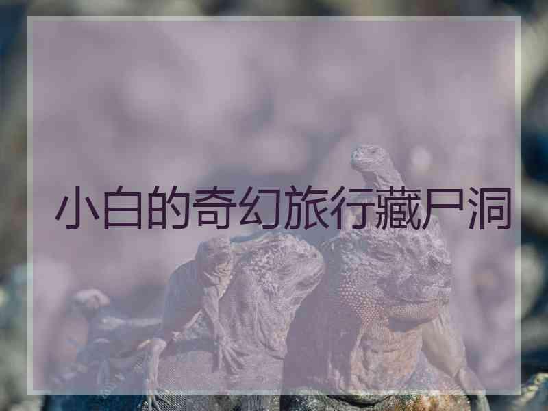 小白的奇幻旅行藏尸洞