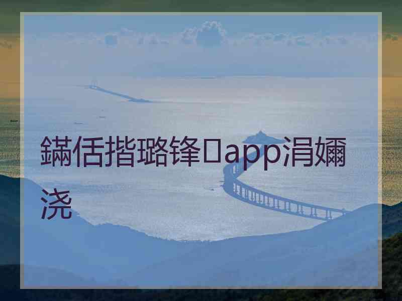 鏋佸揩璐锋app涓嬭浇