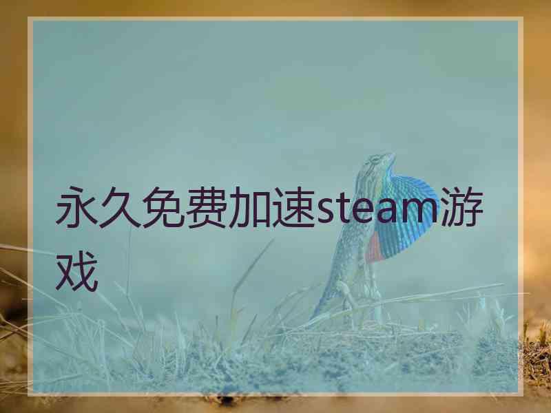 永久免费加速steam游戏