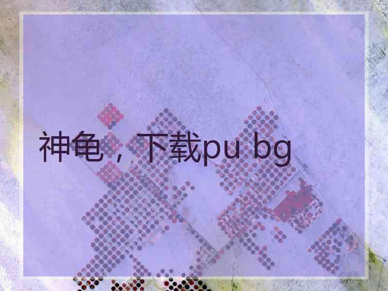 神龟，下载pu bg