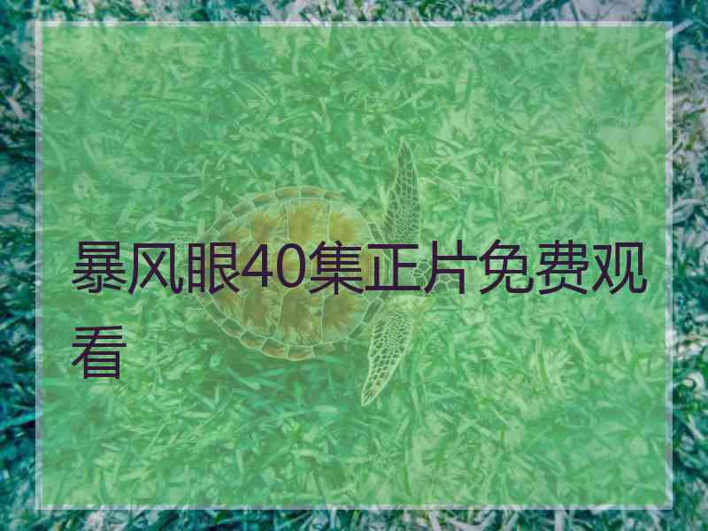 暴风眼40集正片免费观看