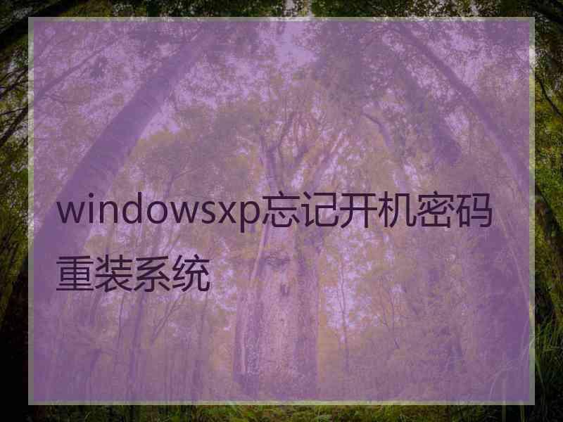 windowsxp忘记开机密码重装系统