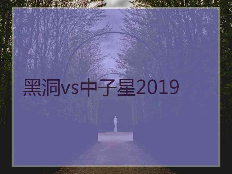 黑洞vs中子星2019