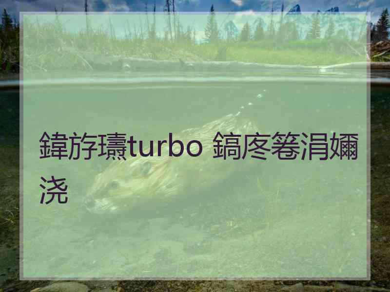 鍏斿瓙turbo 鎬庝箞涓嬭浇