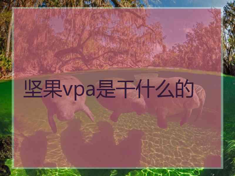 坚果vpa是干什么的