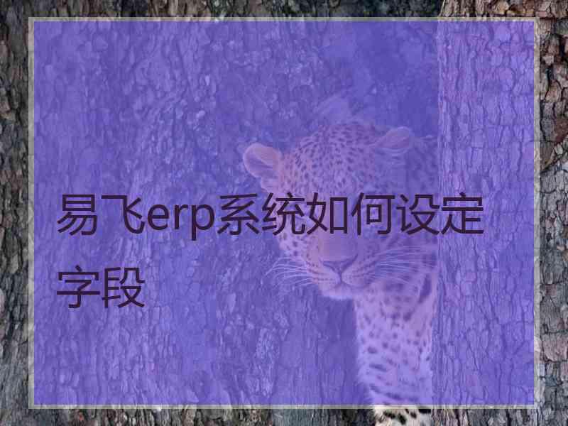 易飞erp系统如何设定字段