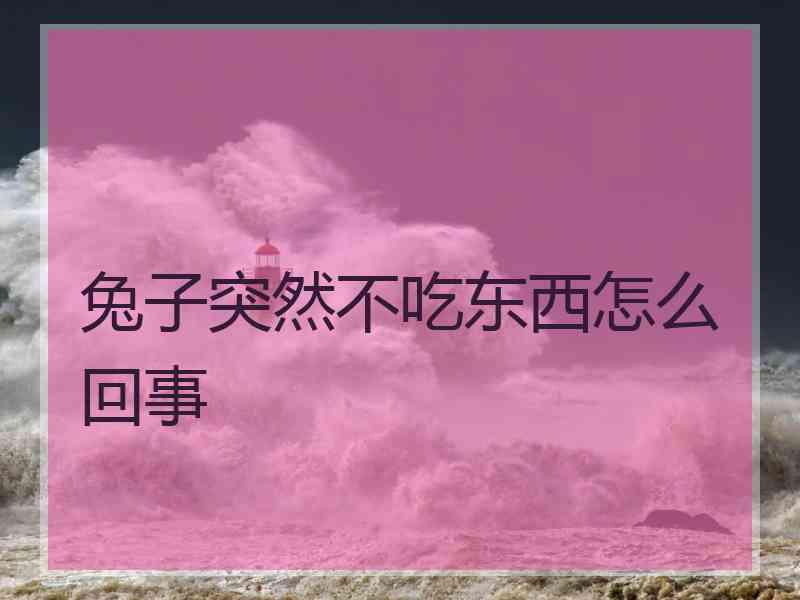 兔子突然不吃东西怎么回事