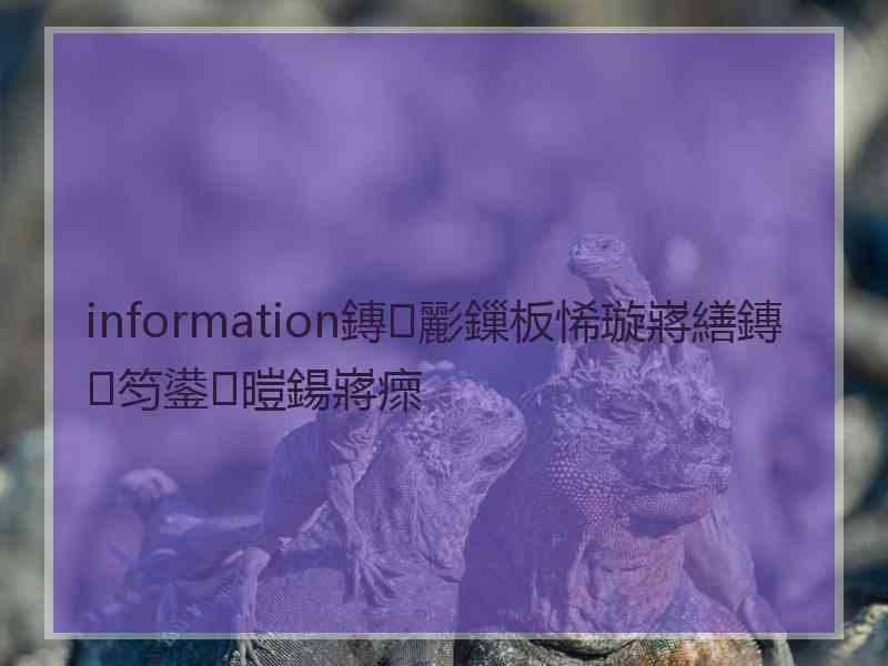 information鏄彲鏁板悕璇嶈繕鏄笉鍙暟鍚嶈瘝