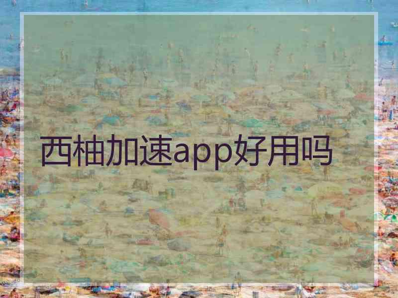 西柚加速app好用吗