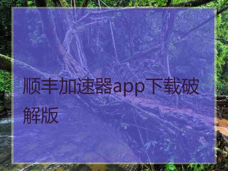 顺丰加速器app下载破解版