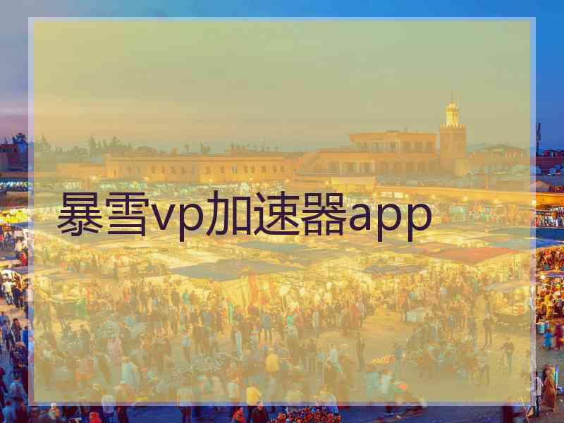 暴雪vp加速器app