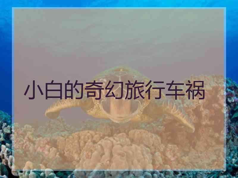 小白的奇幻旅行车祸