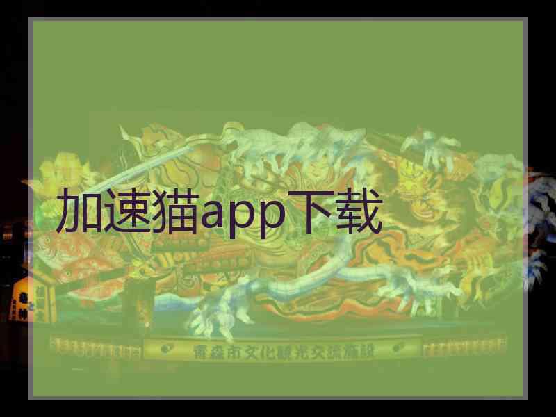 加速猫app下载