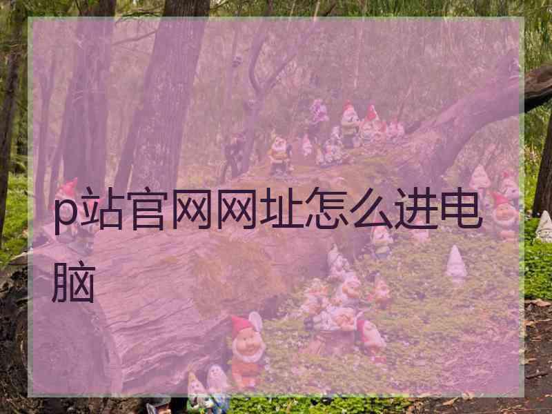 p站官网网址怎么进电脑