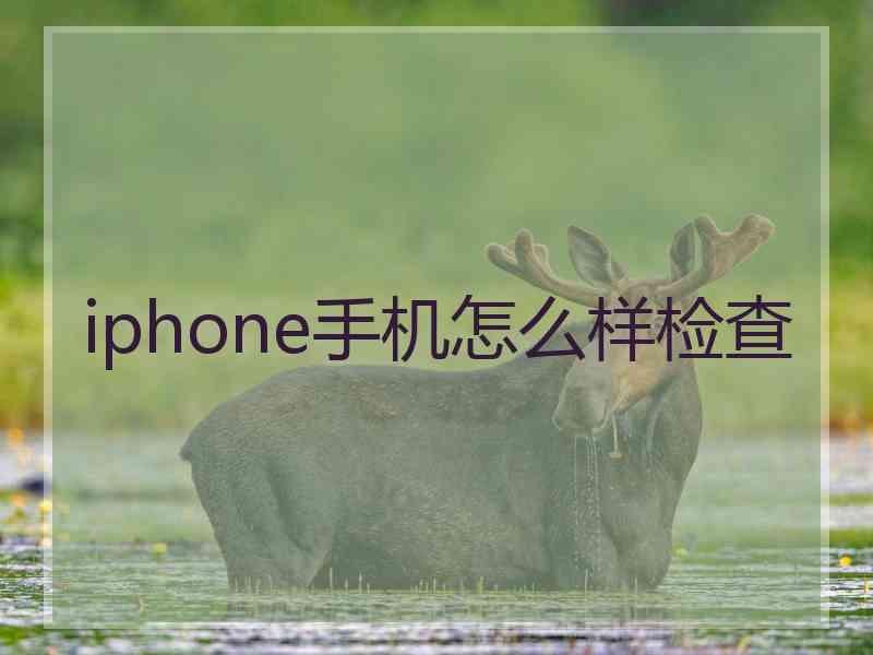 iphone手机怎么样检查