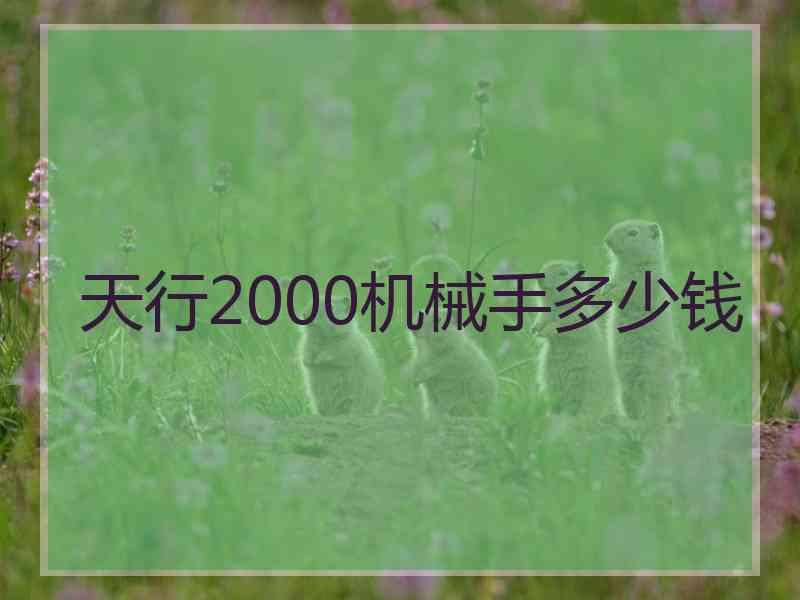 天行2000机械手多少钱