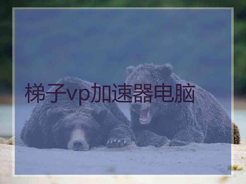 梯子vp加速器电脑