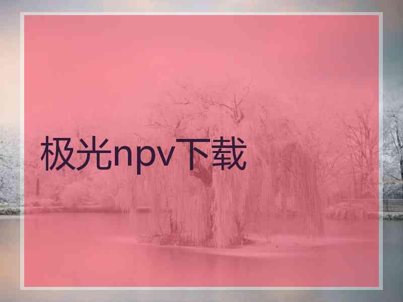 极光npv下载