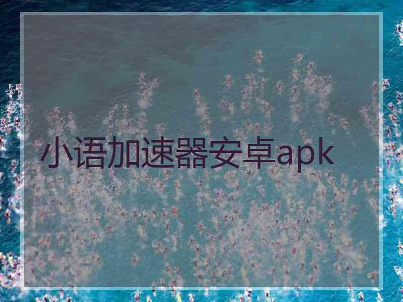 小语加速器安卓apk