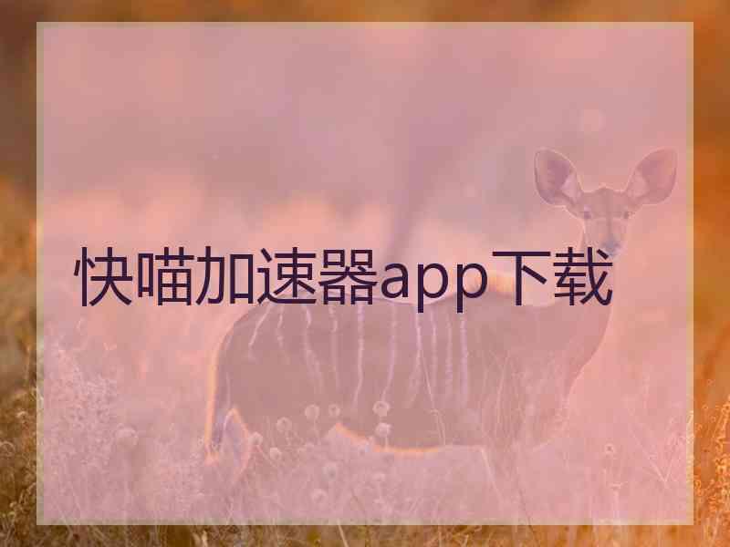 快喵加速器app下载