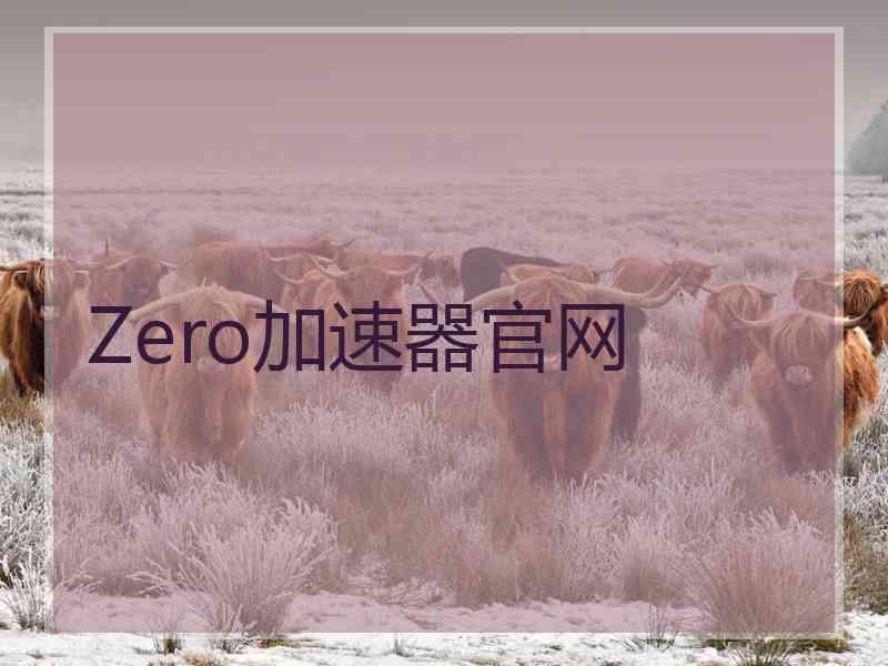 Zero加速器官网