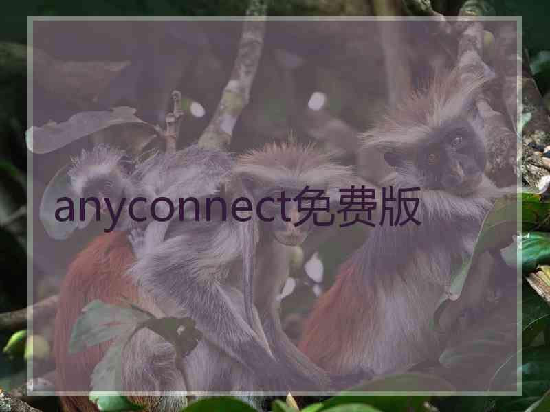 anyconnect免费版