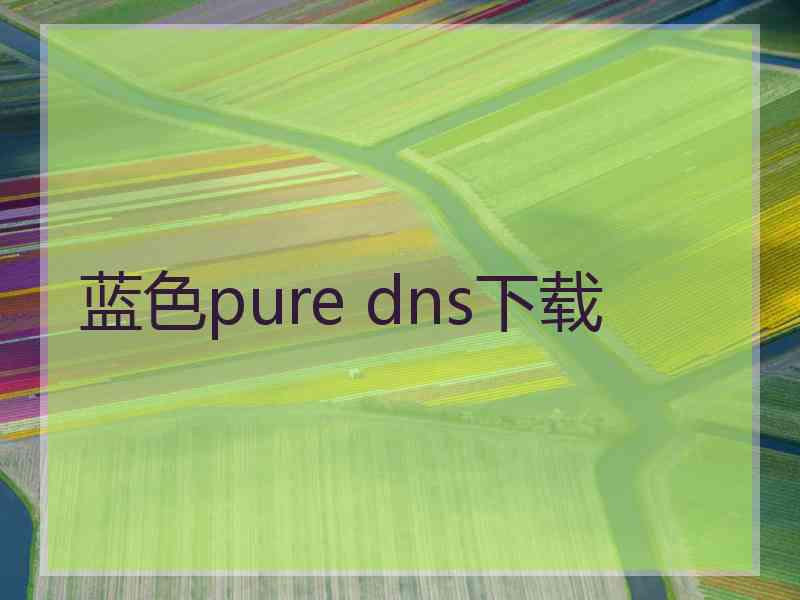 蓝色pure dns下载