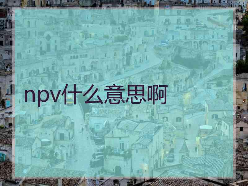 npv什么意思啊