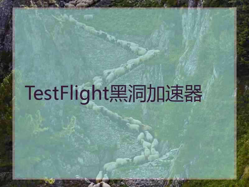 TestFlight黑洞加速器