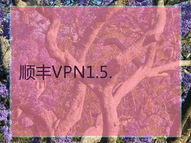 顺丰VPN1.5.