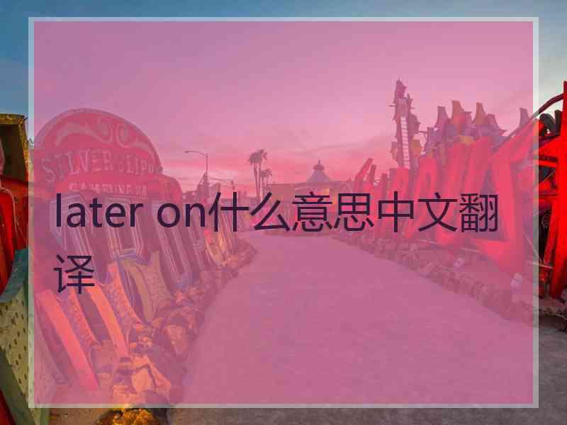 later on什么意思中文翻译