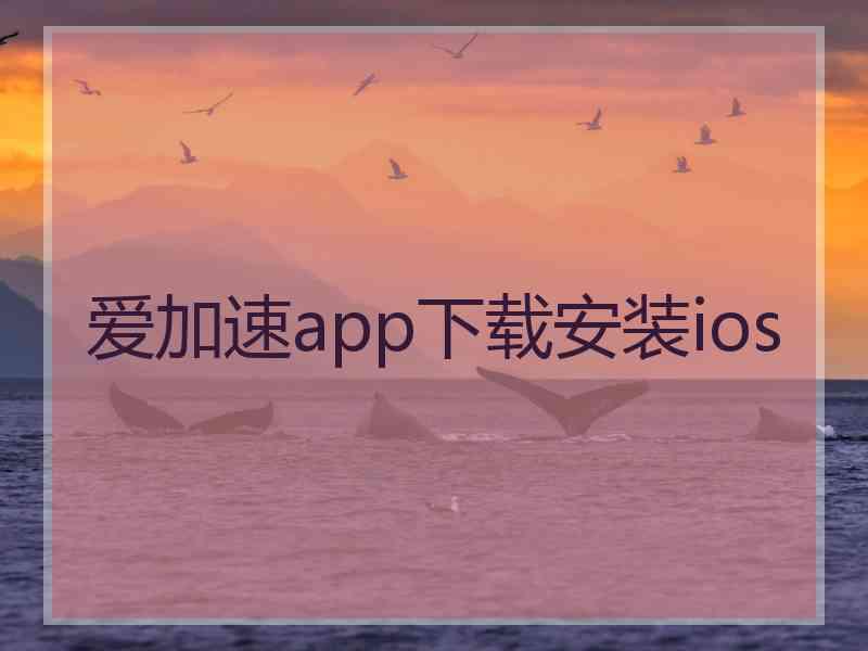 爱加速app下载安装ios