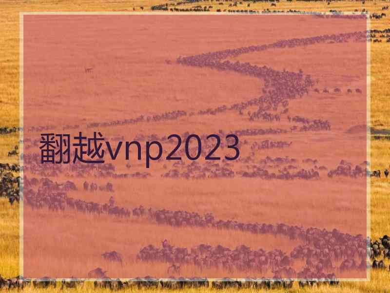 翻越vnp2023