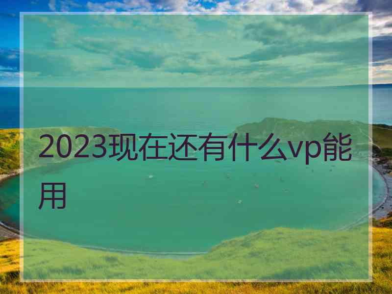 2023现在还有什么vp能用