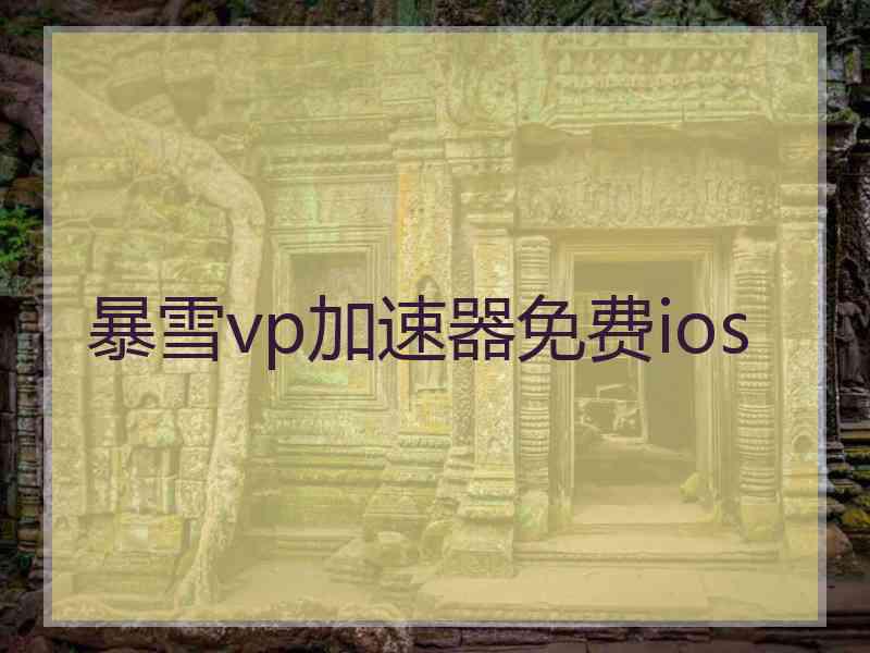 暴雪vp加速器免费ios