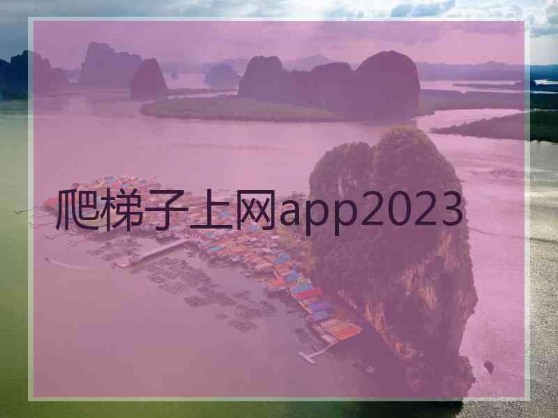 爬梯子上网app2023