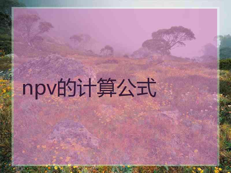 npv的计算公式