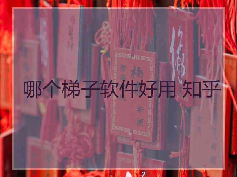 哪个梯子软件好用 知乎